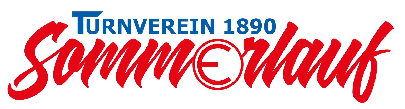 TVE-Sommerlauf Edingen-Neckerhausen